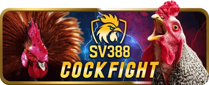 Hoàn Trả Đá Gà JB88